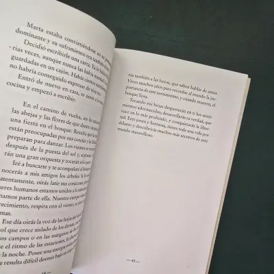 Libro 'El buscador de sueños' - miniatura 4