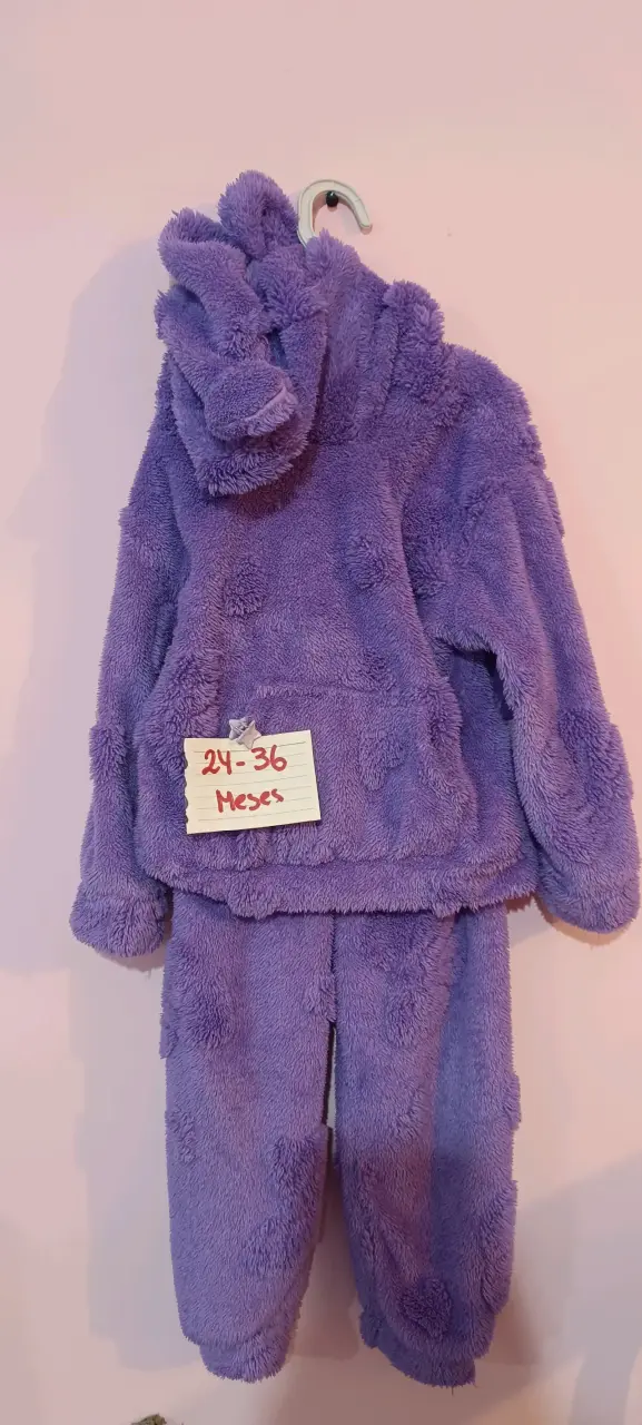 Conjunto morado 24-36 meses