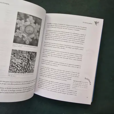 Libro 'De Regreso a la Armonía' - miniatura 4