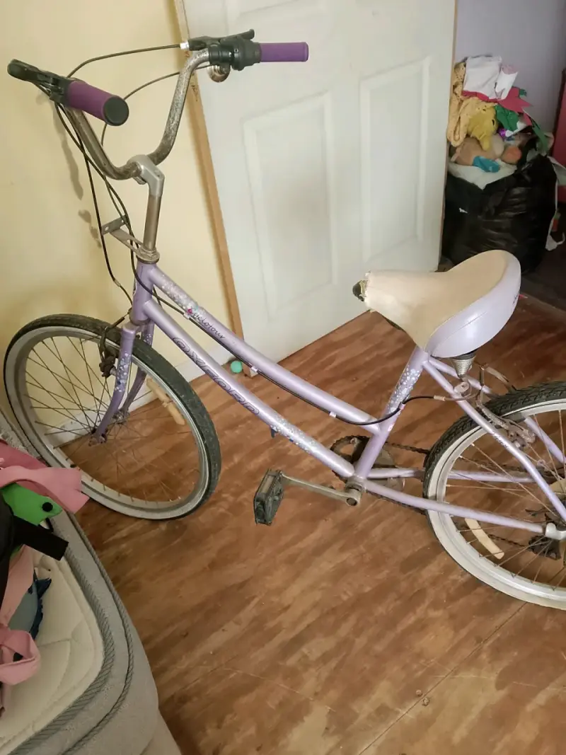 Bicicleta morada para adulto - 1