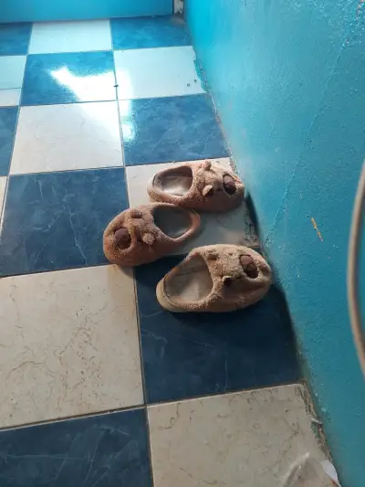 Pantuflas. De. Capibaras. Y. Una. Pistola de juget - miniatura 1