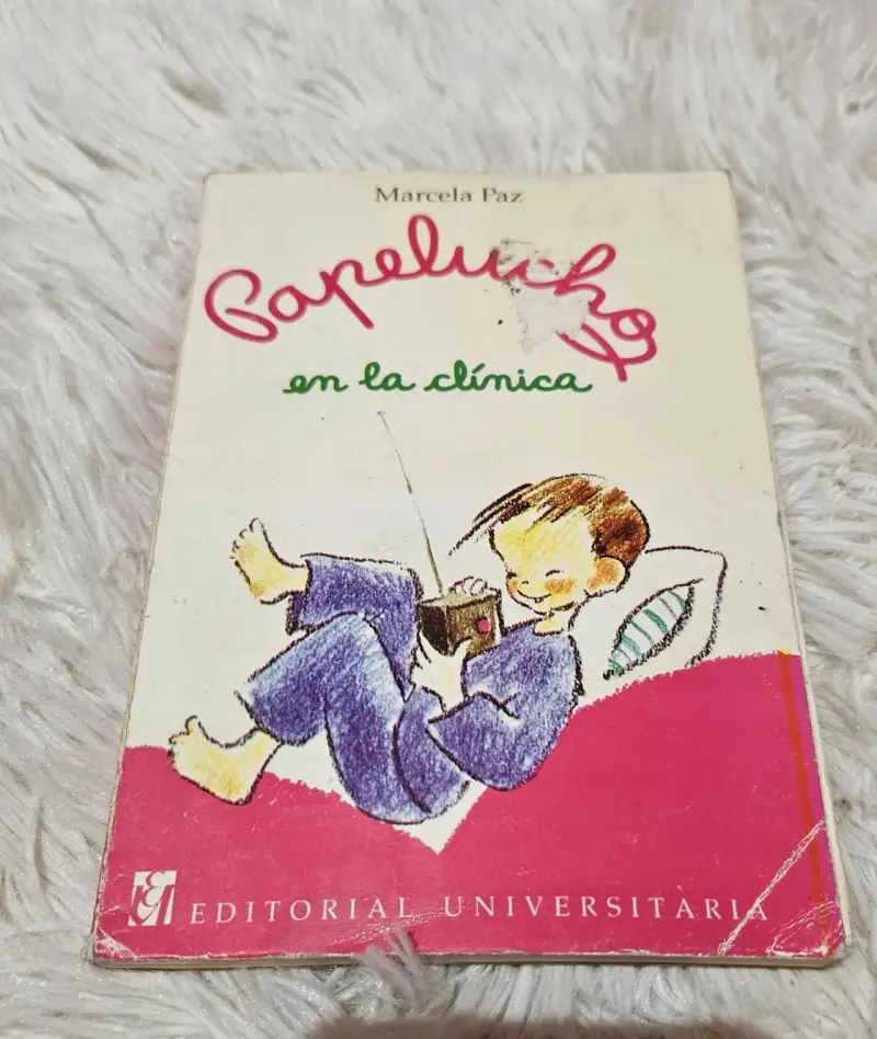 4 Libros Papelucho (no originales) - 3