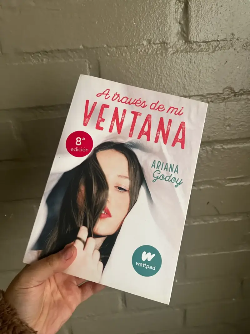 Libro 'A través de mi ventana'