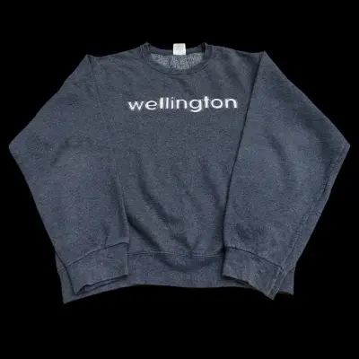 Polerón gris Wellington - miniatura 1