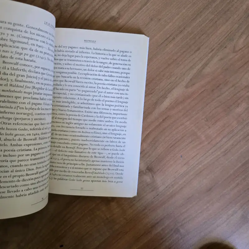Libro Beowulf Anónimo - 4