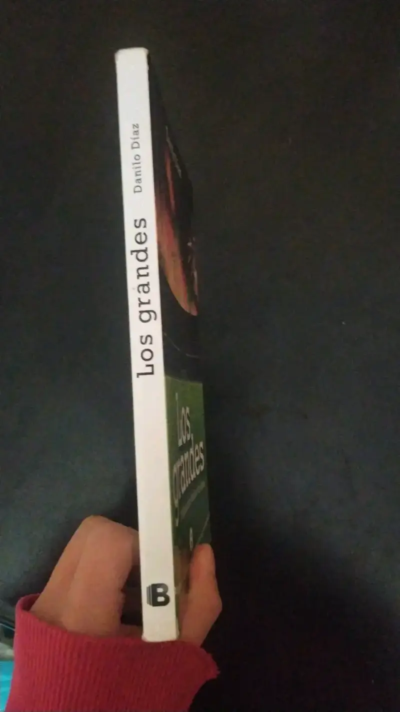 Libro Los grandes de Danilo Díaz - 3