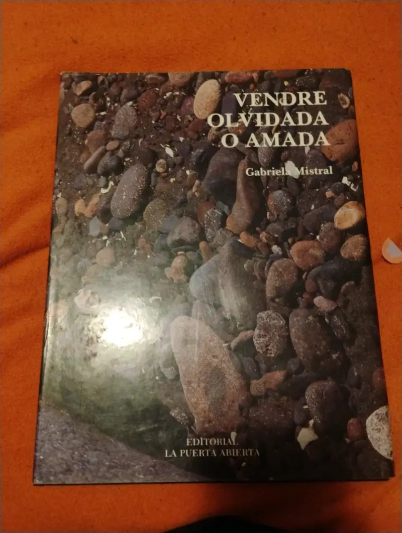 Libro 'Vendre Olvidada o Amada' - 1
