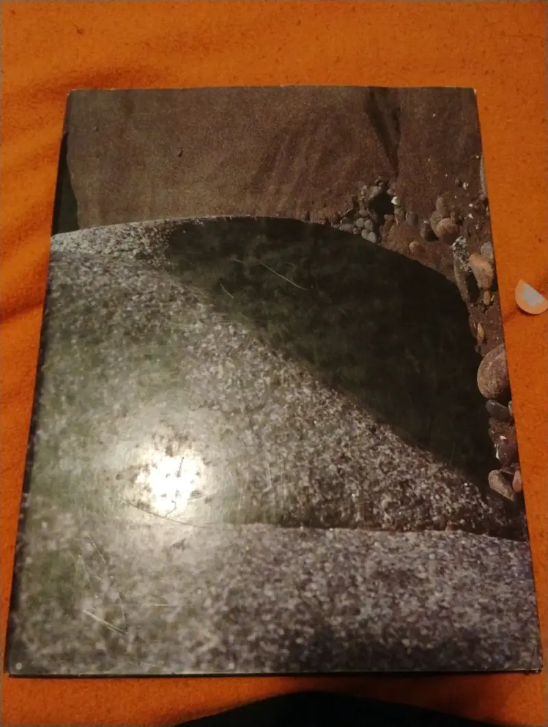 Libro 'Vendre Olvidada o Amada' - 2