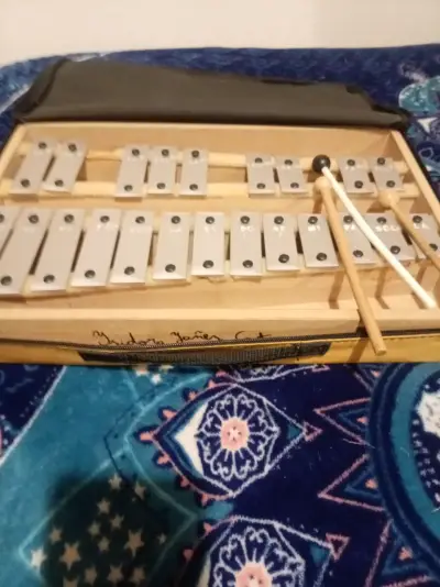 Metalófono infantil con baquetas - miniatura 1