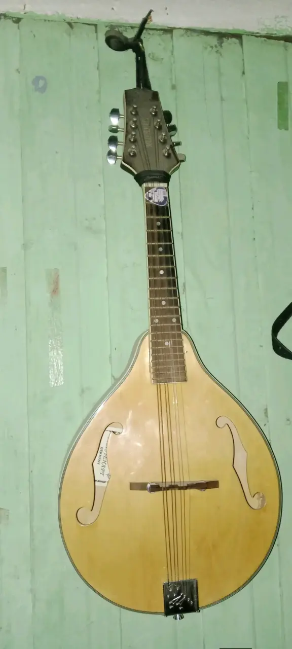Mandolina acústica de madera - 1
