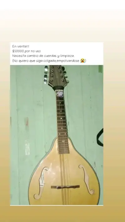 Mandolina acústica de madera - miniatura 2