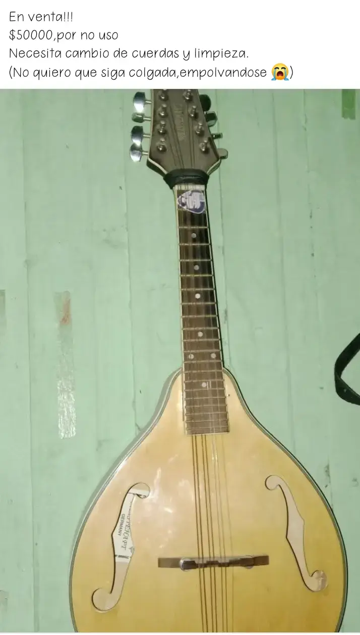 Mandolina acústica de madera - 3