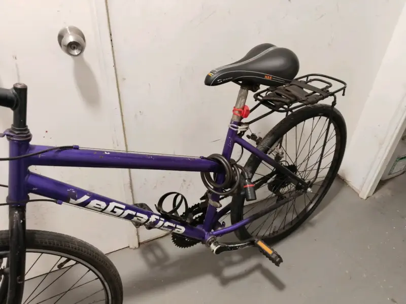 Bicicleta morada urbana - 2