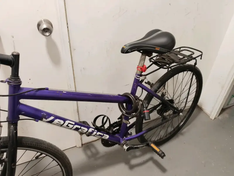 Bicicleta morada urbana - 5