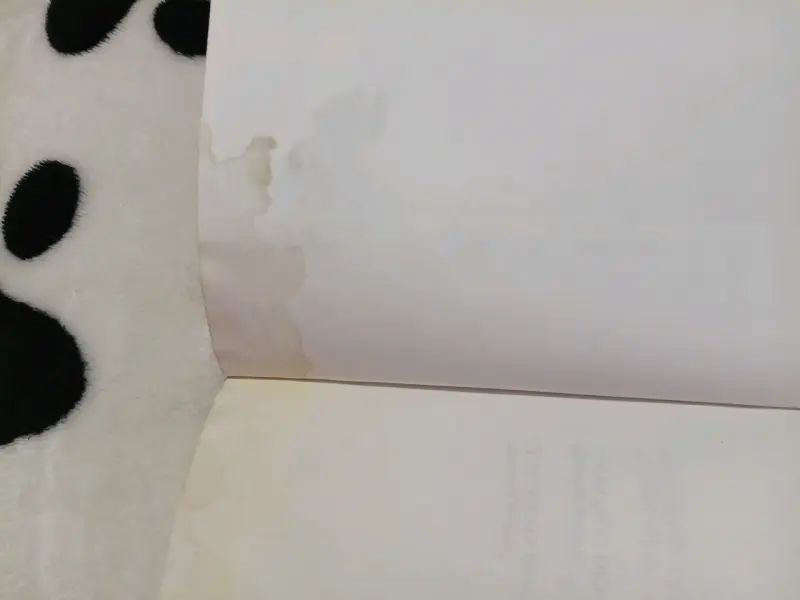 Libro La Historia del Loco - 3