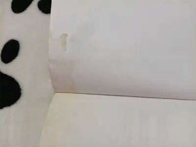 Libro La Historia del Loco - miniatura 3