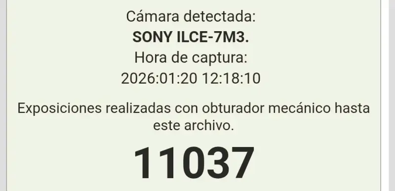 Cámara Sony A7III con Accesorios - 6