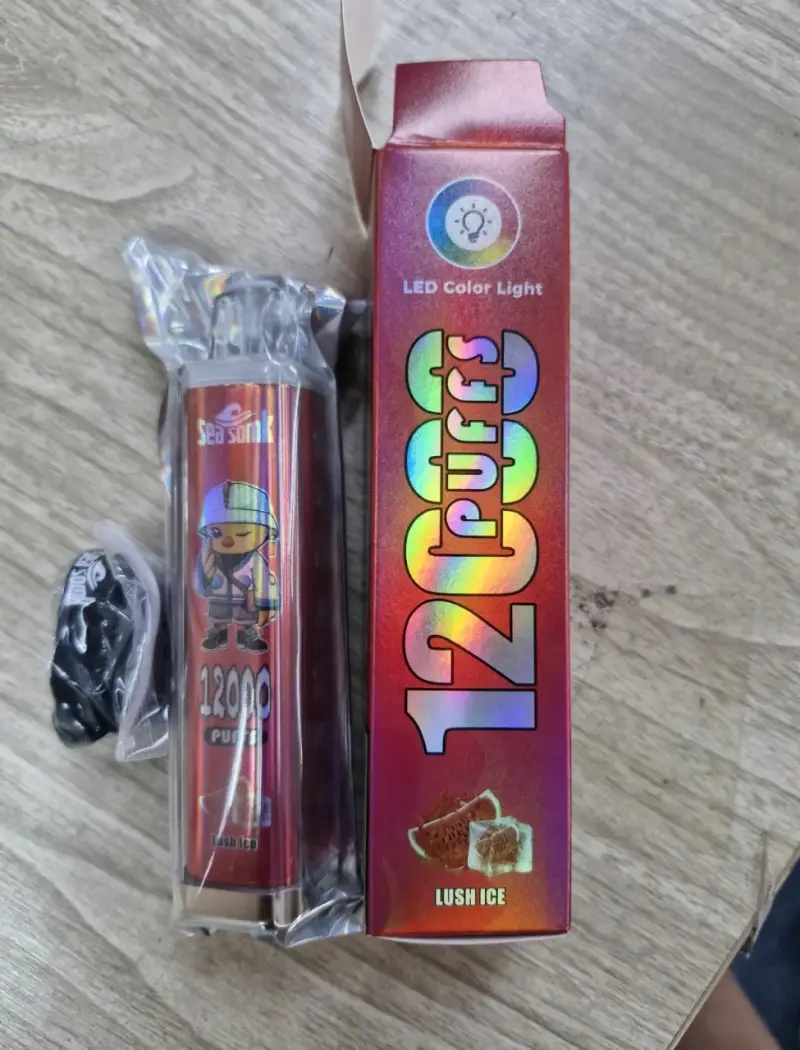 Vaporizador 12000 puffs variados sabores