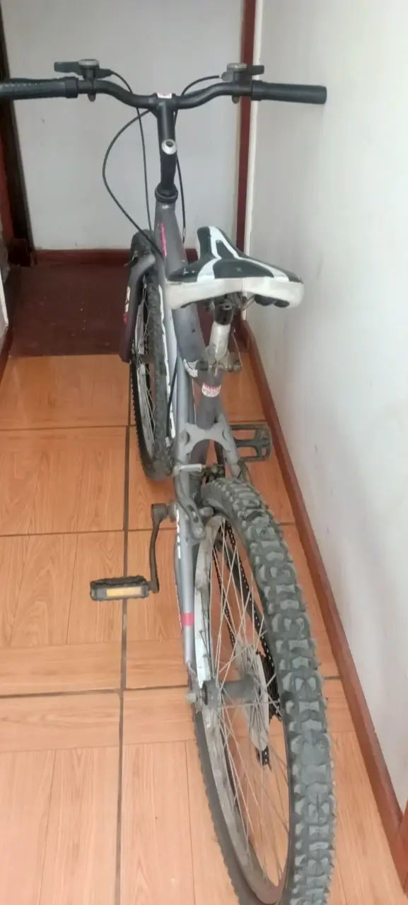 Bicicleta Oxford aro 24 con cambios - 3