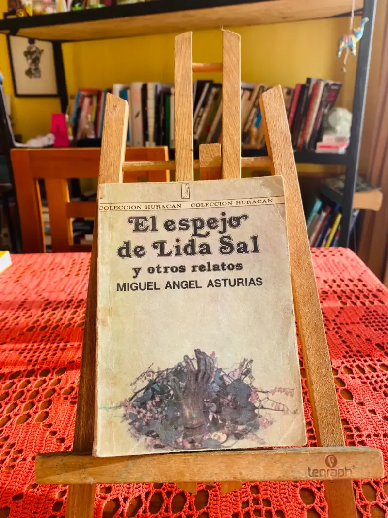 Libro 'El espejo de Lida Sal' - 1