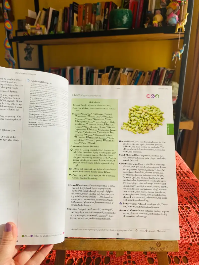 Libro Modern Essentials - 2
