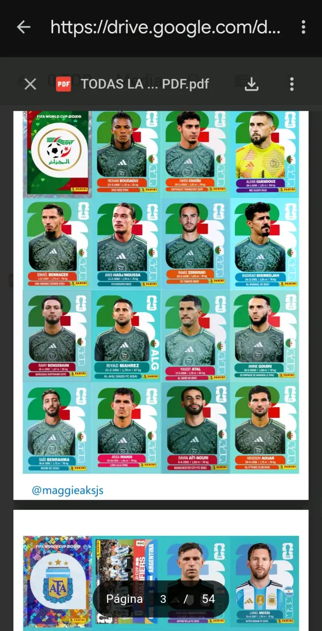 Pack álbum Mundial 2026 digital - 3