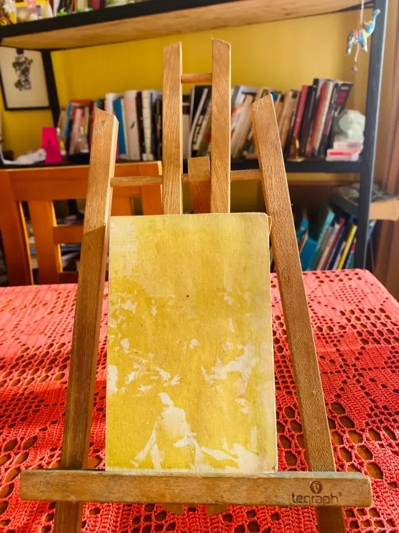 Libro 'La Lección de Pintura' - 2