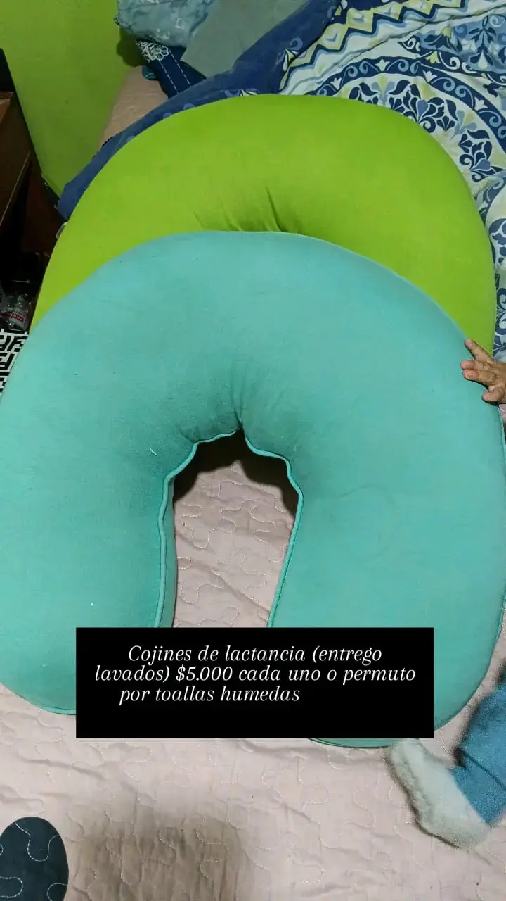 Cojines de lactancia