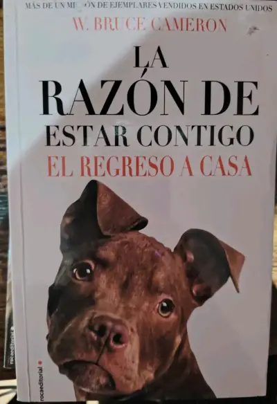 Pack La razón de estar contigo - miniatura 3
