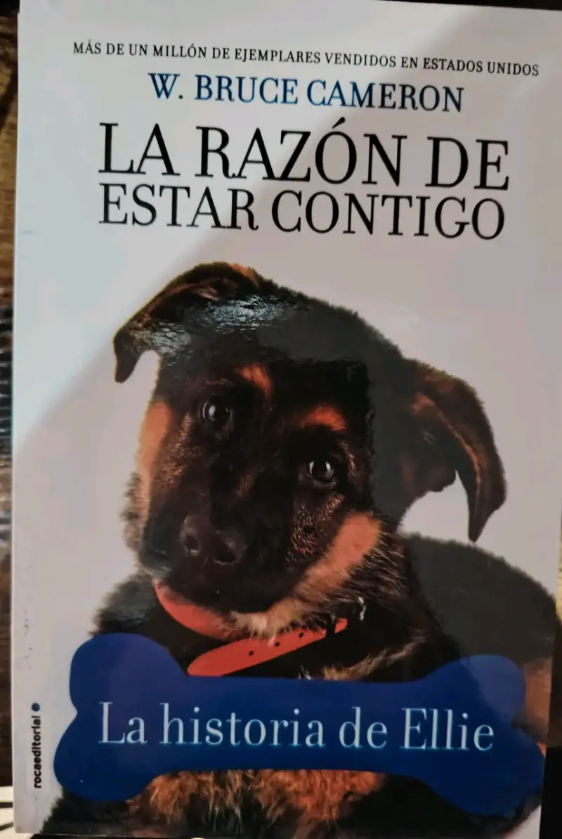 Pack La razón de estar contigo - 4
