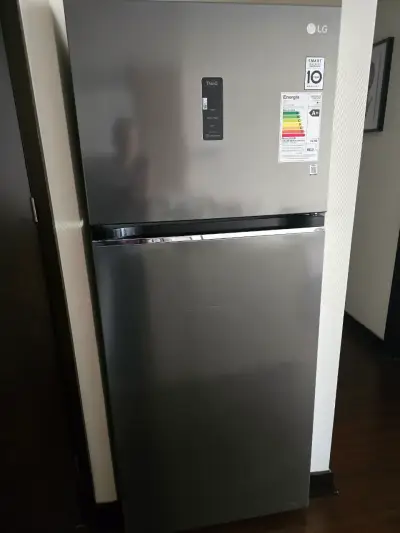 Refrigerador LG no Frost  375lt. gris con garantía - miniatura 1