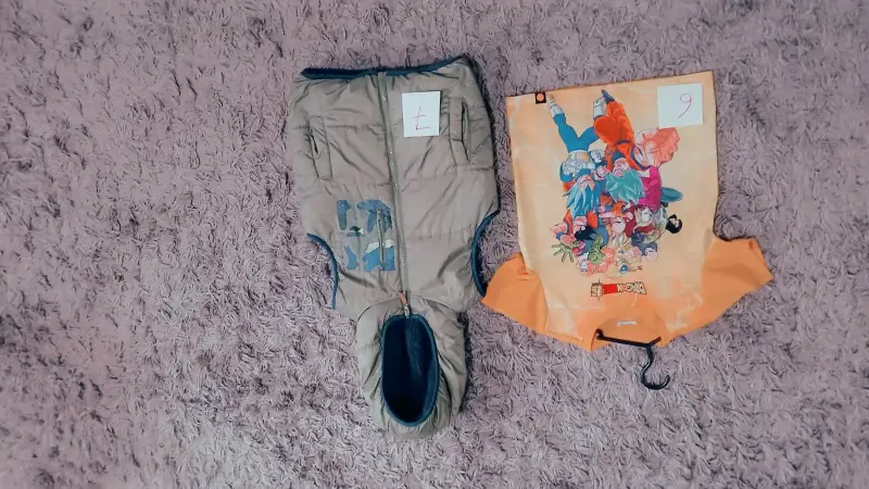 Polera Dragon Ball Z y chaqueta mangas corta