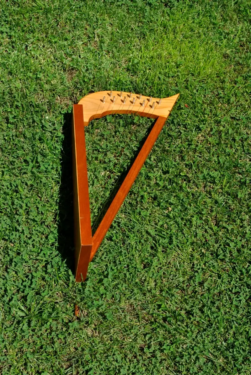 Arpa pequeña - 1