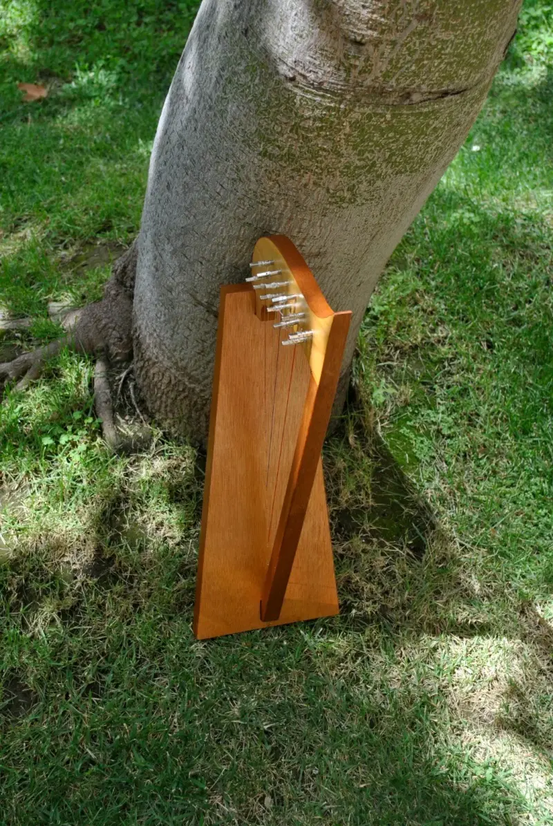 Arpa pequeña - 4