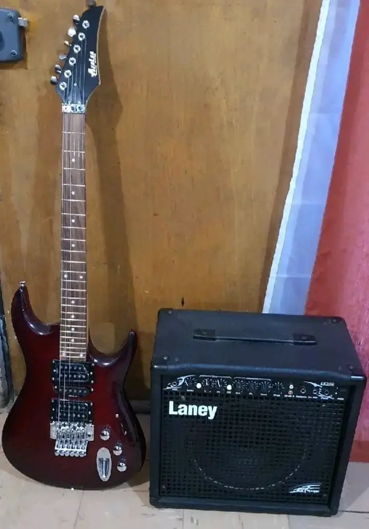 Guitarra eléctrica con funda - 2