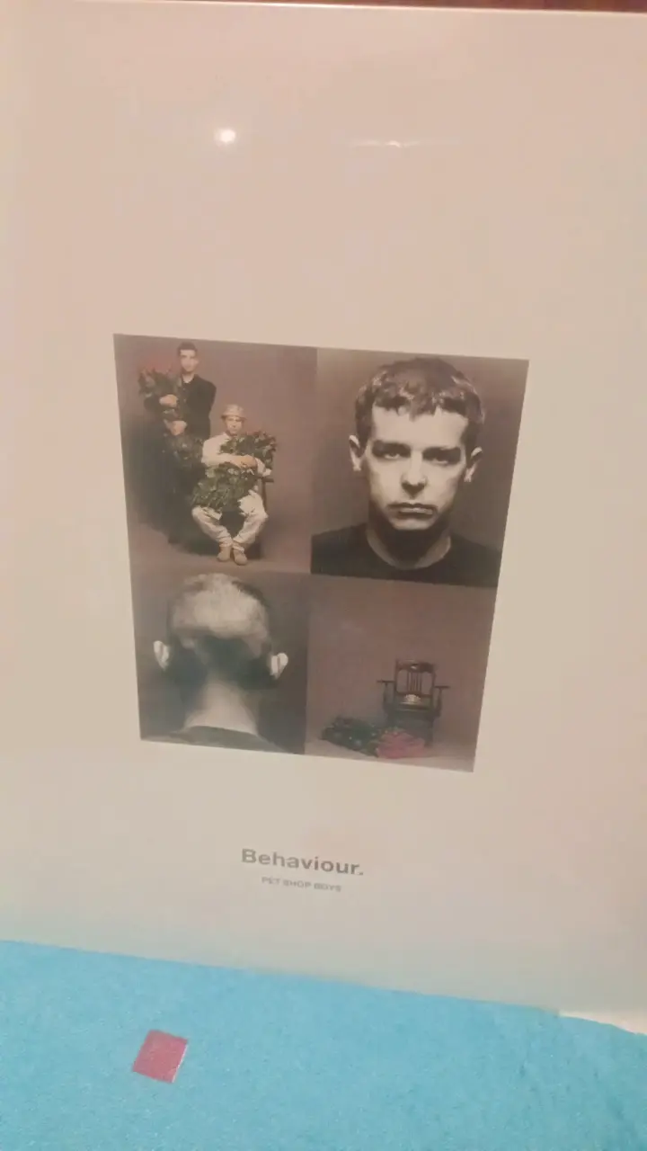 Vinilo Behaviour Pet Shop Boys