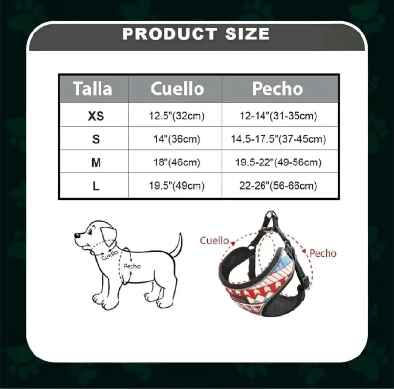 Arnés para perro con correa - 2