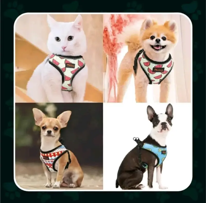Arnés para perro con correa - 5