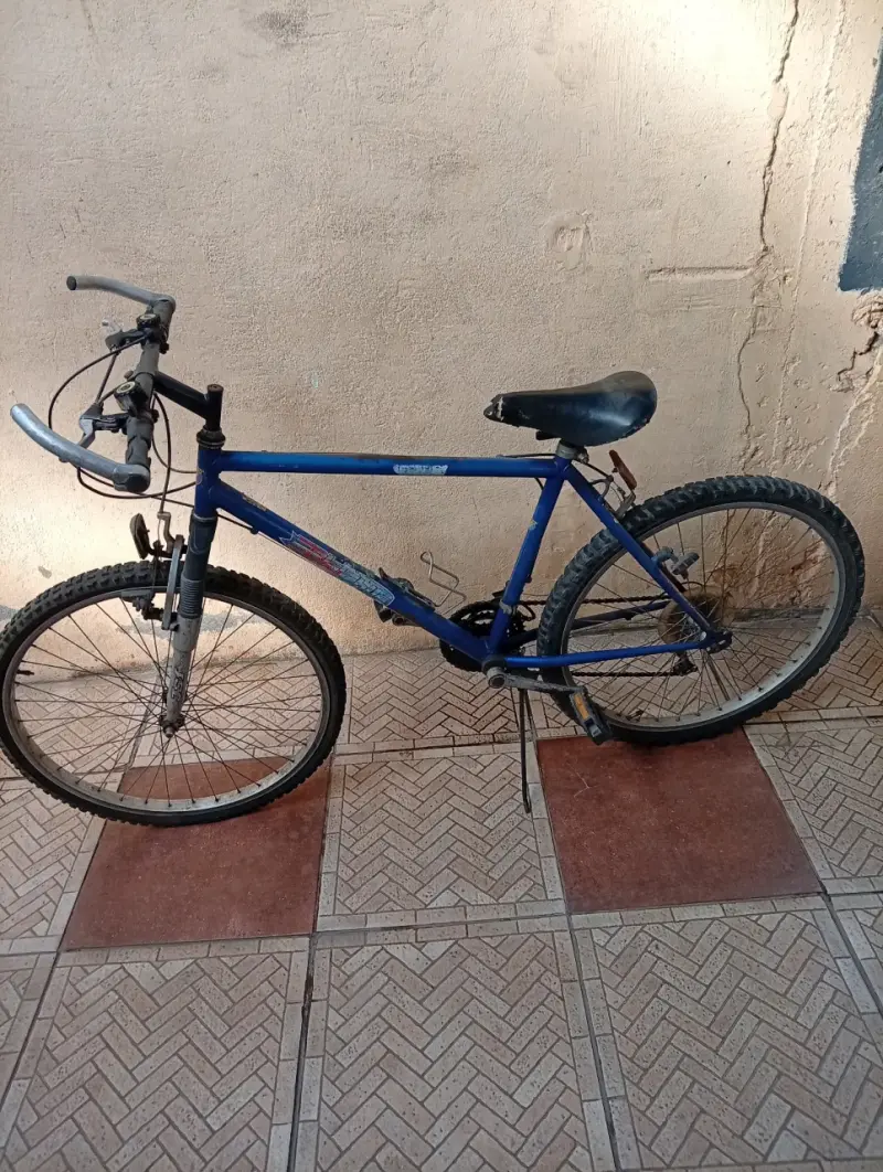 Bicicleta montaña azul - 1