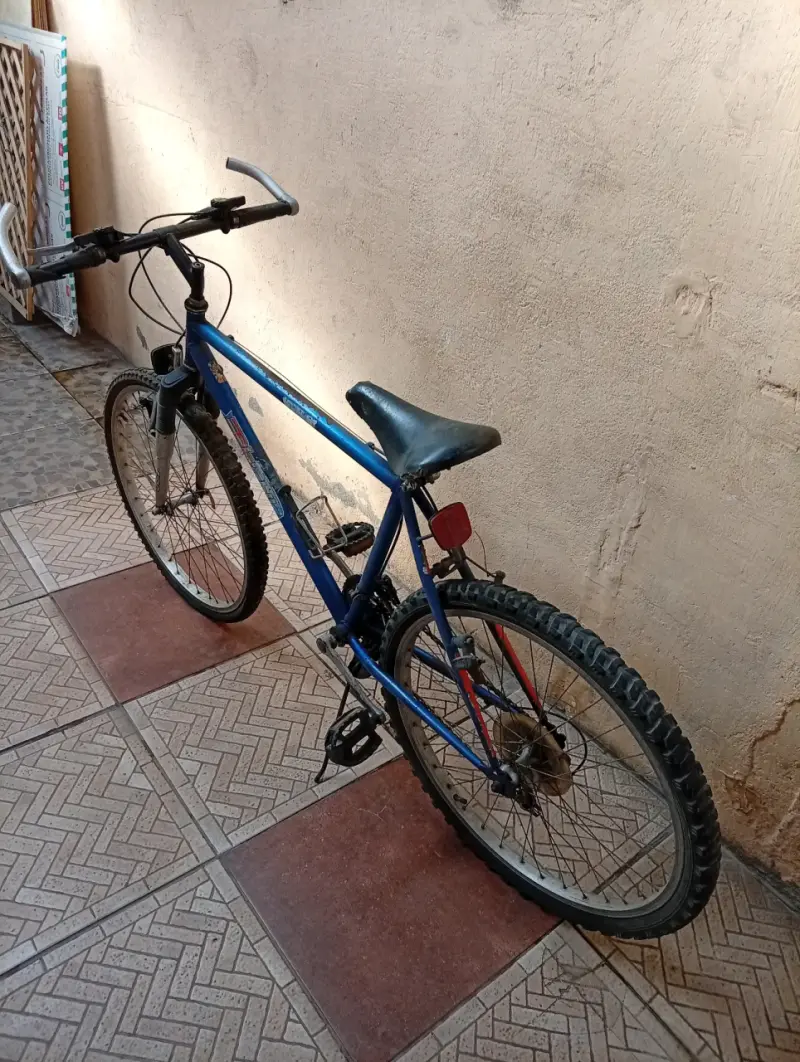 Bicicleta montaña azul - 2