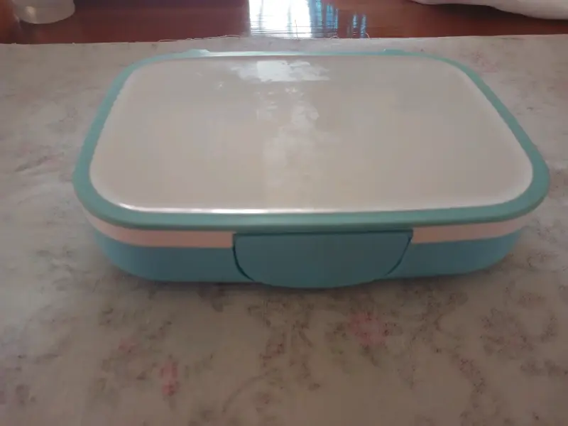 Envase plástico con tapa - 2