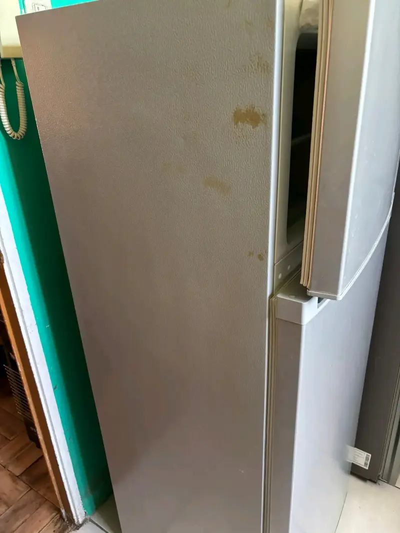 Refrigerador Sinelene plateado - 6