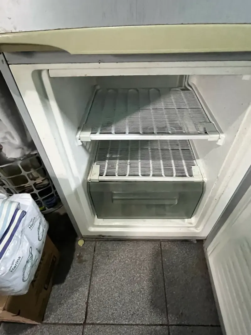 Refrigerador con puerta desmontada - 3