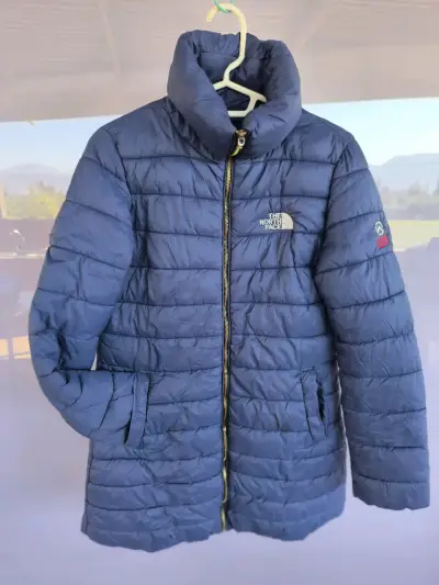 Parka azul The North Face - miniatura 1