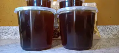 Miel y polen naturales - miniatura 2