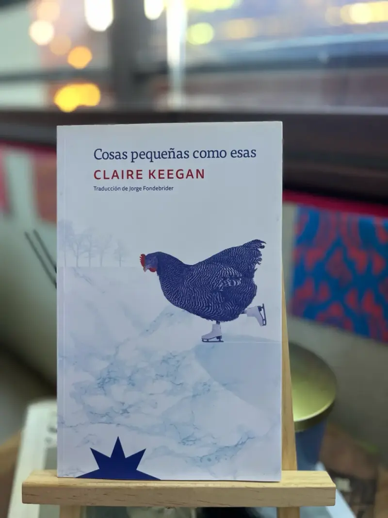 Cosas pequeñas como esas - Libro