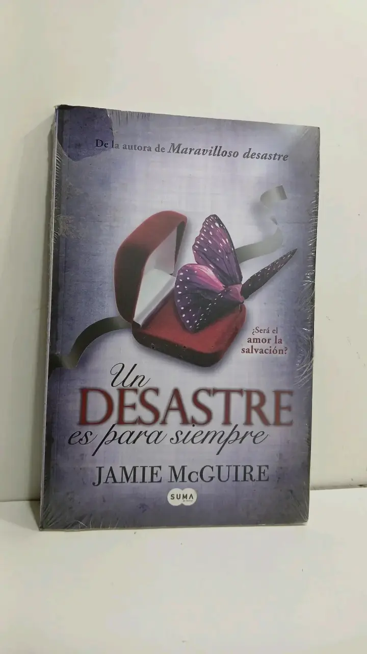 Libro 'Un desastre es para siempre'