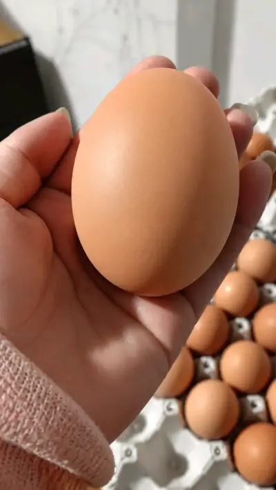 Bandeja de huevos frescos - miniatura 2