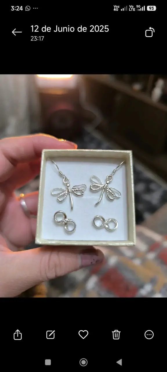 Set de aros y dijes plateados