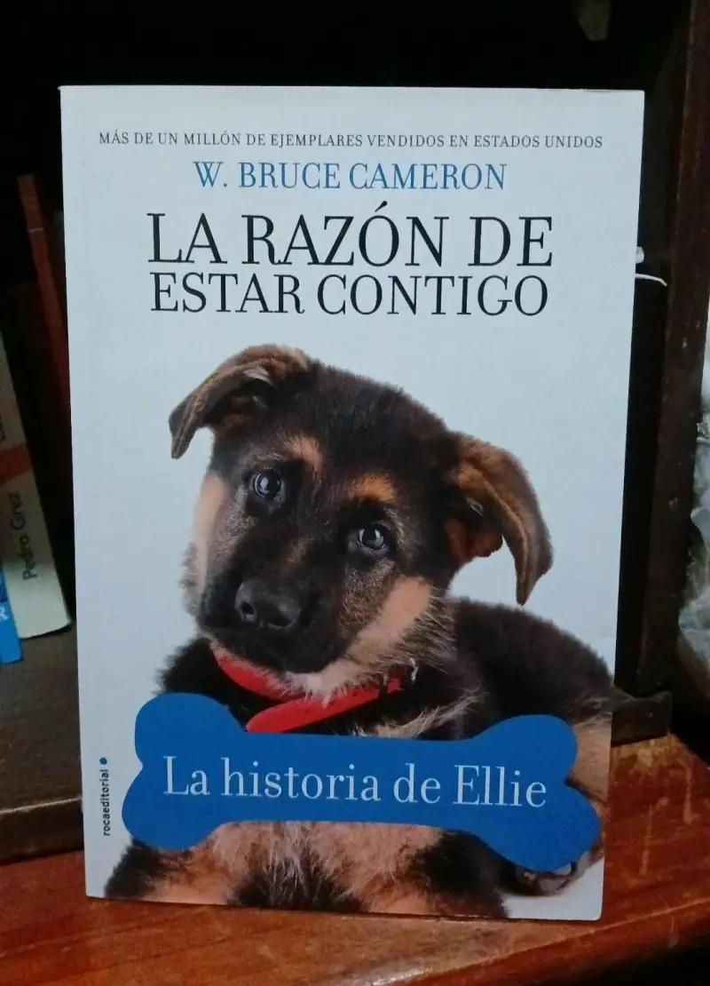 Libro La Razón de Estar Contigo